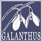 Galanthus_LogoHeader.jpg